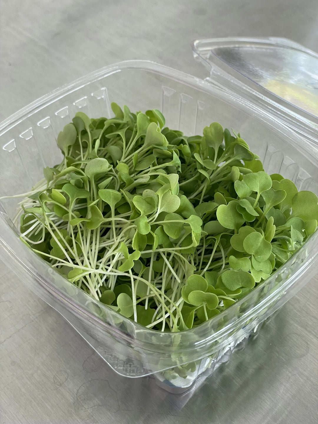 Arugula